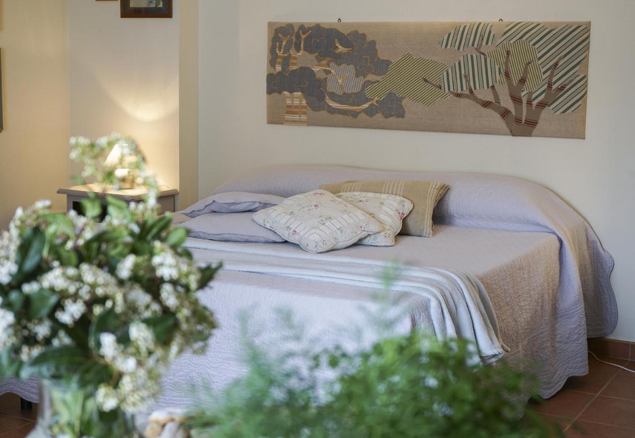 Locanda Degli Alberi Sassetta Bagian luar foto