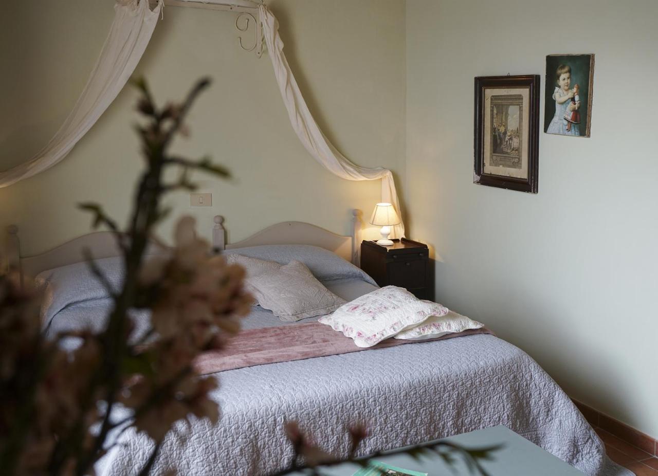 Locanda Degli Alberi Sassetta Bagian luar foto